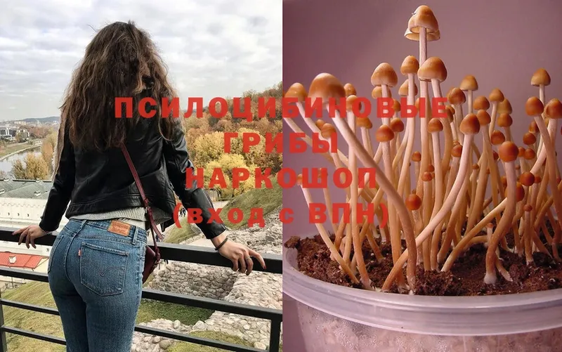 наркотики  OMG ONION  Псилоцибиновые грибы Psilocybe  Воскресенск 